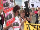 Manifestation anti corrida Mimizan (23.07.11)