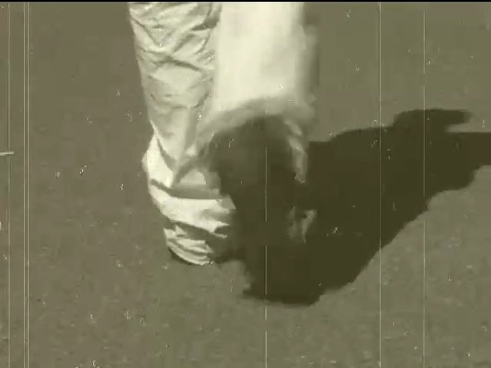 mehdinho freestyle foot