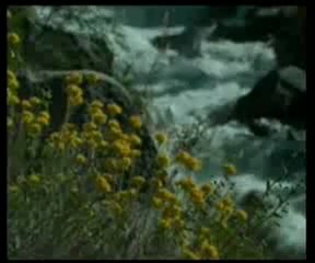 His ve vehim mertebesinde yaratılmış olan madde