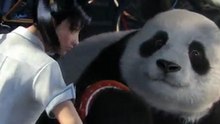 Xiaoyu and Panda - TEKKEN : BLOOD VENGEANCE [SUB THAI]