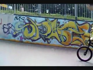 bmx street & park 2010