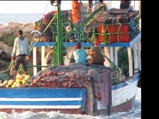 Skhira,  pêche au thon الصخيرة موسم صيد التن