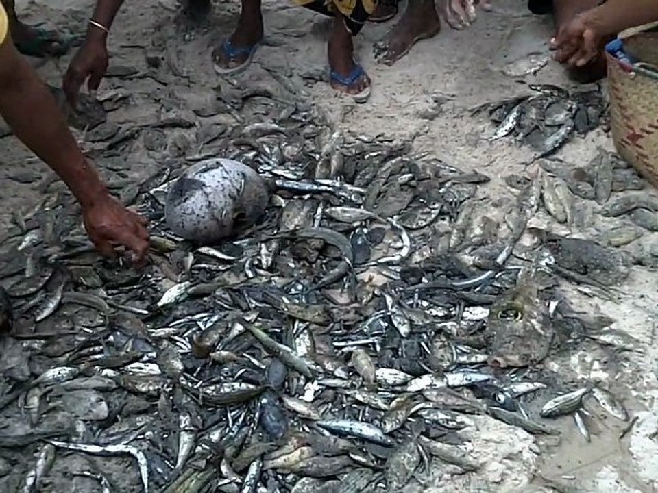 Pêche Ramena