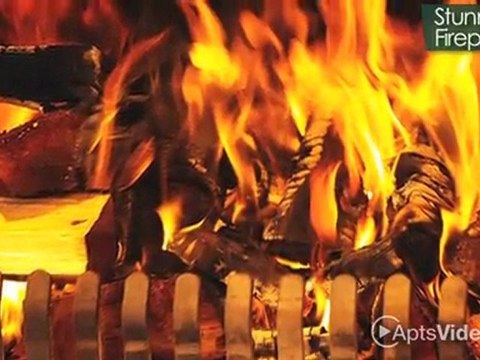 Regency Square Apartments in Houston, TX - ForRent.com