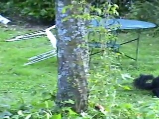 Shhhhhhhhhh...ne faites pas de bruit!