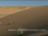 Sam Sand Dunes of Rajasthan
