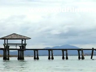 Kids fishing in Thailand