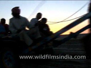 Camel Ride in Rann Festival