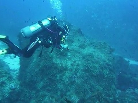 Nathalie et le banc de sars