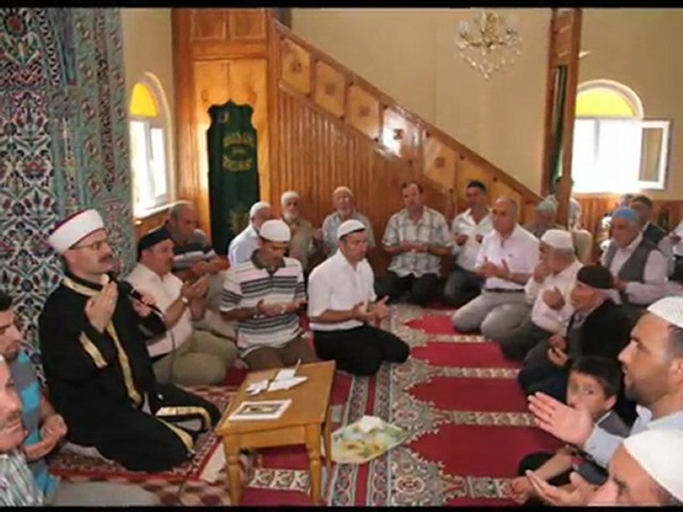 DERNEK 2011