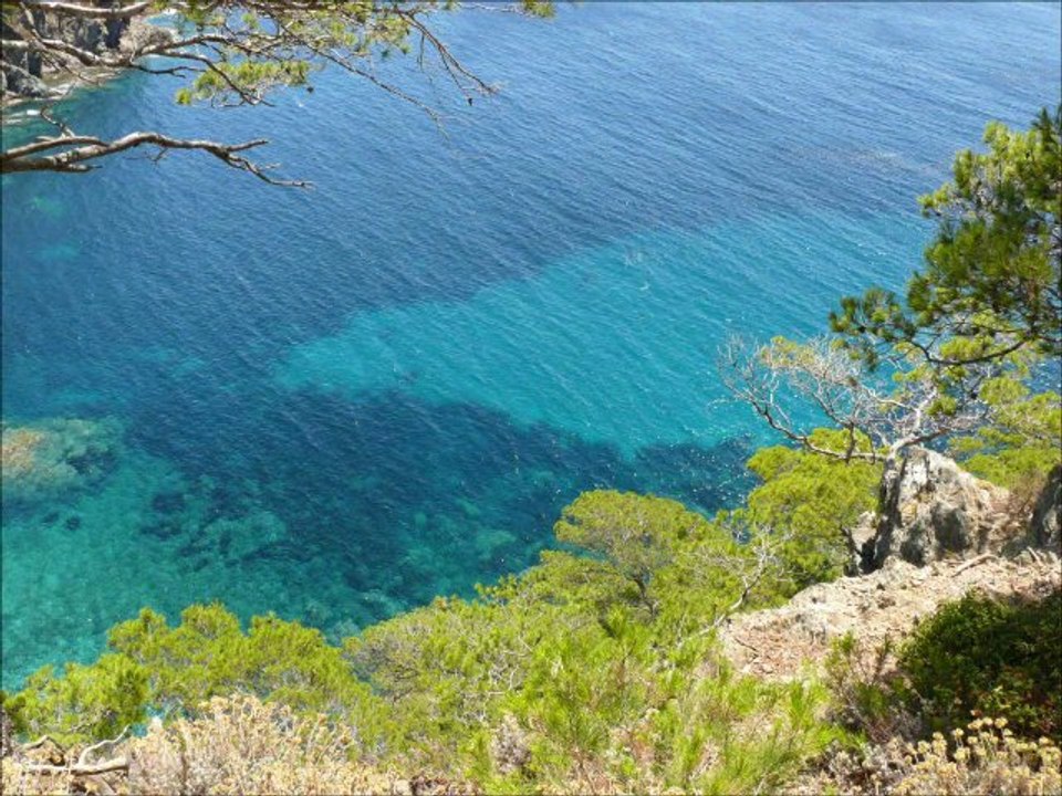 Porquerolles Juillet 2011