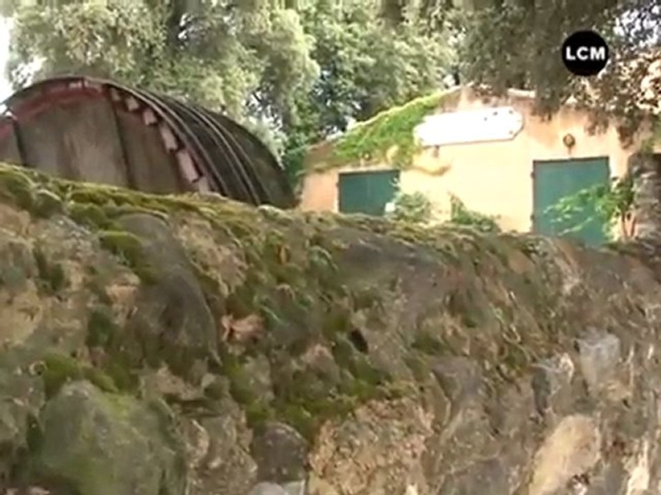 Provence : la vie en rosé