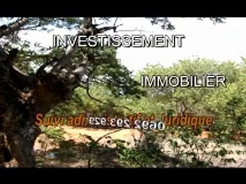 Vue sur la baie du pain de sucre à 3 minutes de la mer - Terrains à vendre