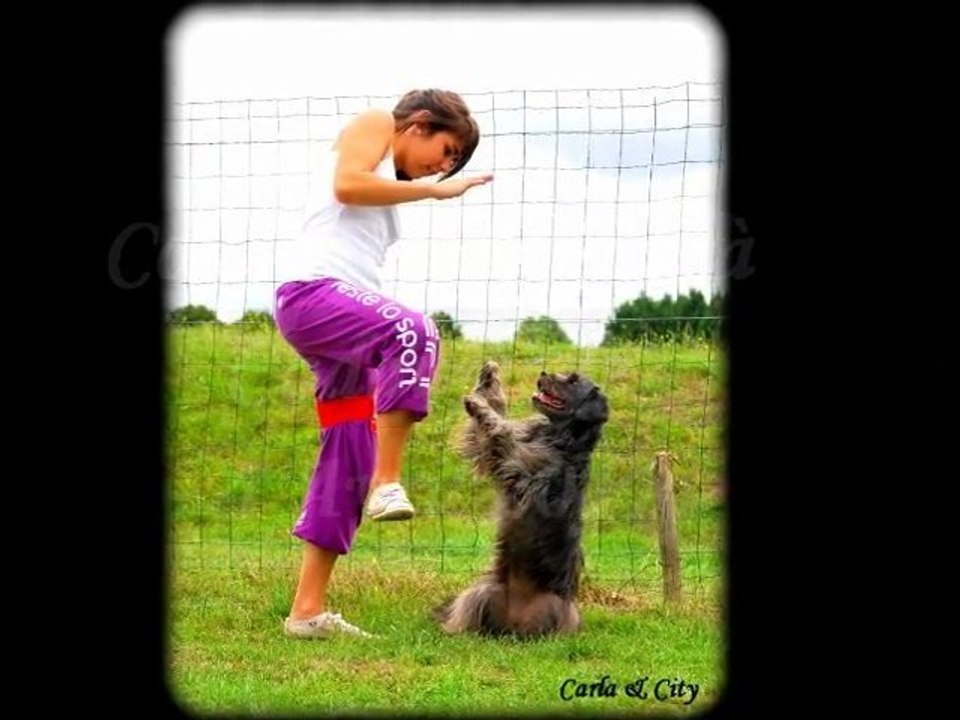 Carla & City Concours Agility à Cadaujac le 4 Avril 2011