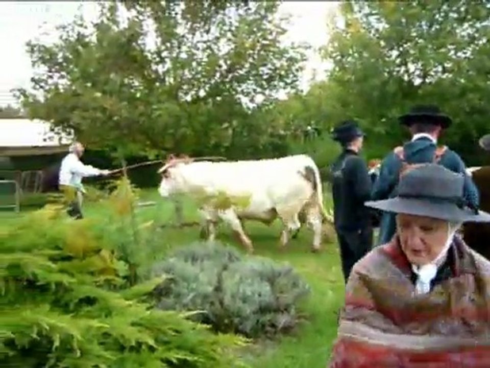 les virades de l'espoir 26 septembre 2010 à Charolles