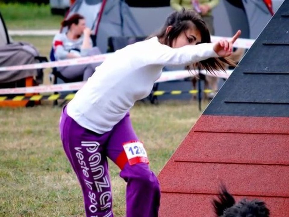 Carla & City Concours Agility à Marsac le 17 Juillet 2011