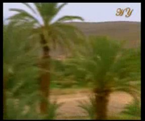 Hz. Yunus ve Hz. Zekeriya'nın duaları