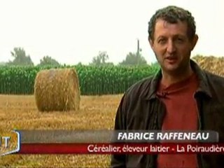 Sécheresse : la pluie ne suffit pas...(Vendée)