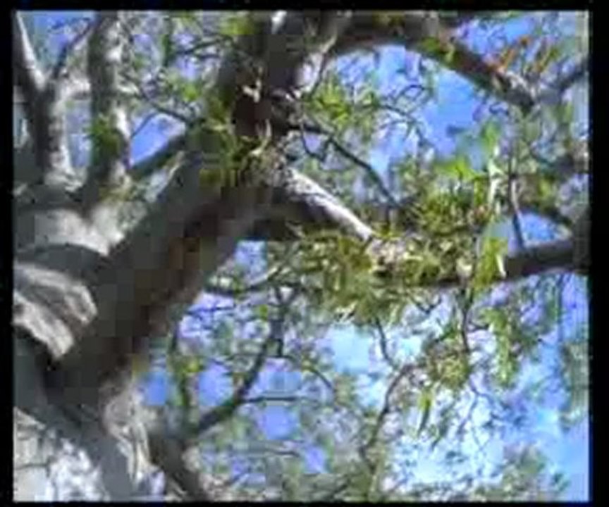 Cennetteki doğa güzellikleri