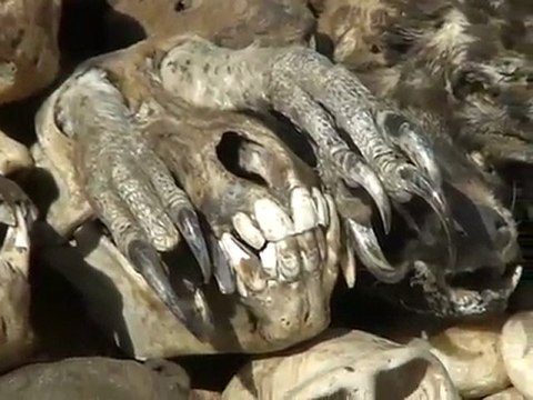 FETICHE, VOODOO DOOL OR GRIGRI