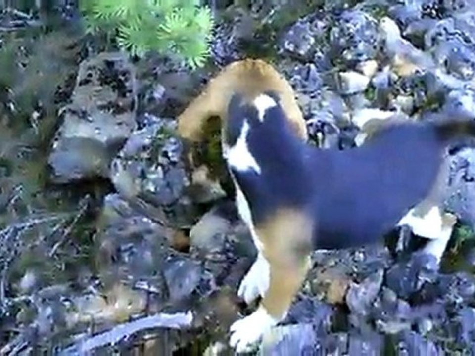 CLIP0004