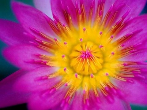 Muharrem Temiz(Her güzelin kahrı çekilmez imiş)SEVDAMIZ TOKAT