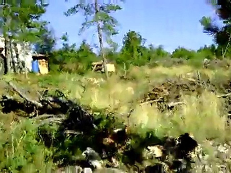 CLIP0005