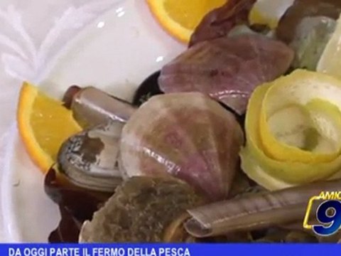 Regione Puglia | Da oggi parte il fermo della pesca