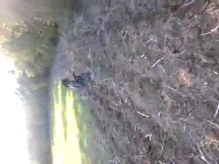 video-2011-08-01-18-44-28