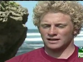 Surviving a Alligator and Great White Shark Attack