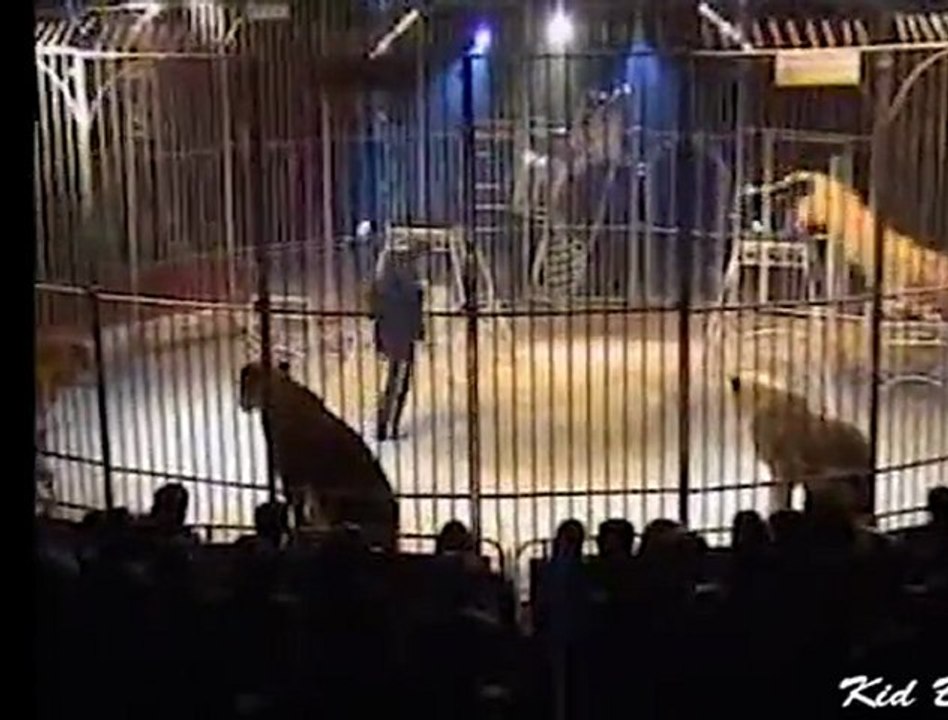 Kid Bauer au 20ème European Circus Festival (Part. 1)