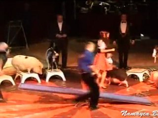 Namayca Bauer au 18ème European Circus Festival