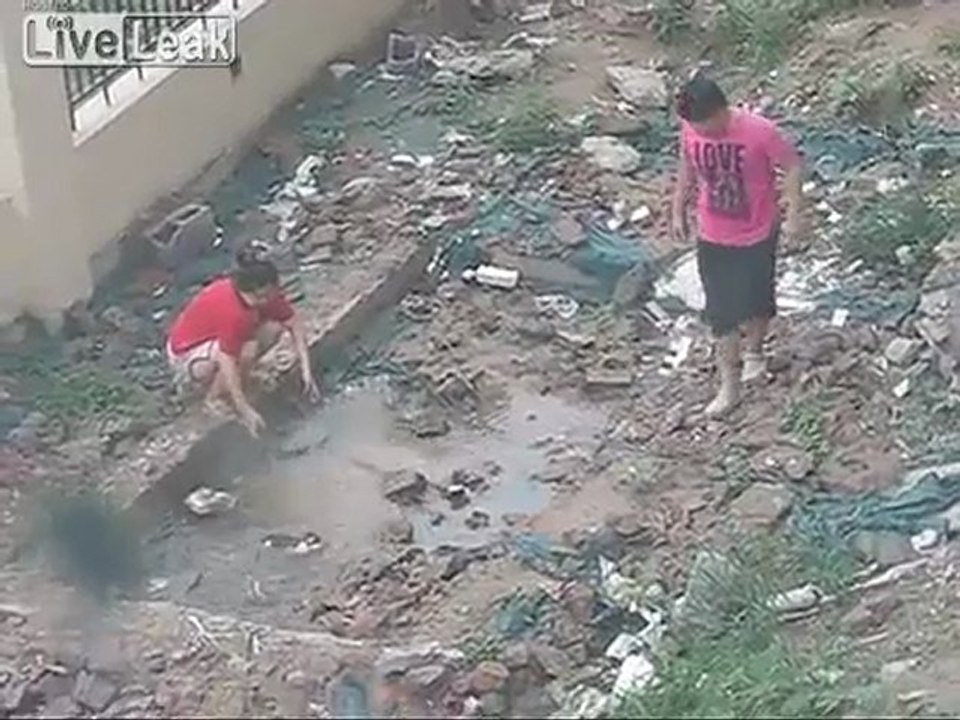 Kitten in Beijing, China.