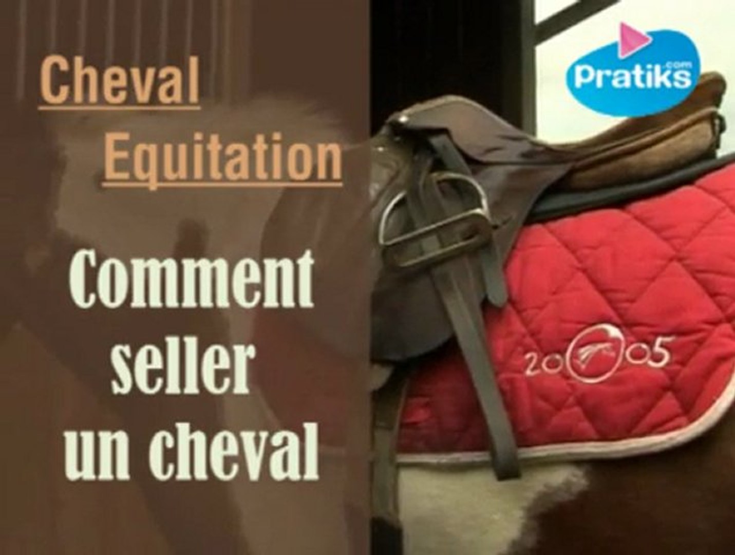 Equitation - Comment seller un cheval ? - Vidéo Dailymotion