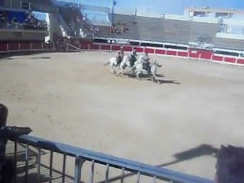 vacances camargue 085