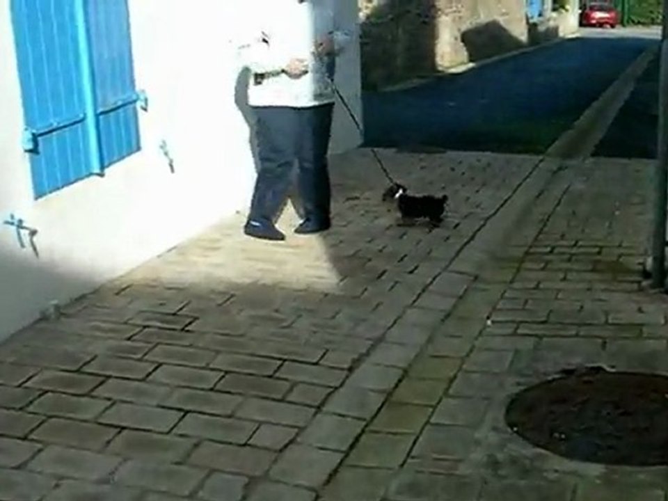 Premiers Contacts avec le macadam