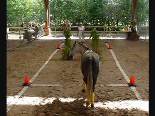 Championnats de France 2011