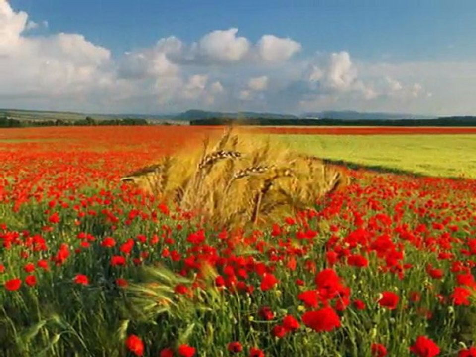 MUSA EROĞLU-GÜL YÜZLÜ SEVDİĞİM