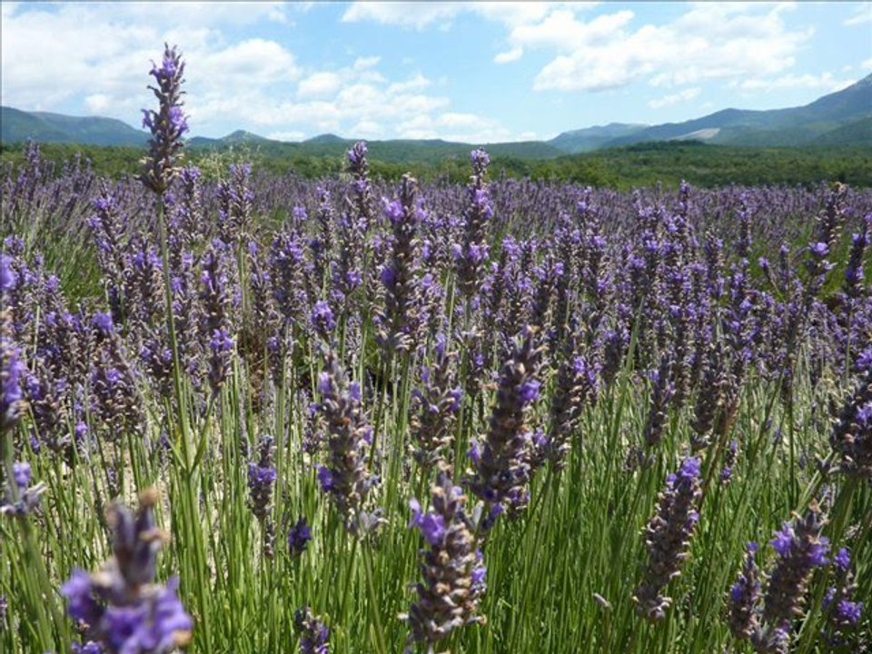 Boucle de  Comps (26 Drôme provençale )