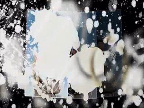 Mobile Affiliate Profits by Mark Roth, Howie Schwartz real K