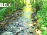 Destinations Nièvre en Bourgogne - épisode 2 - Les eaux vives du Morvan