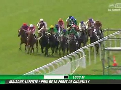 QUINTE 26 JUILLET 2011 A MAISONS LAFFITTE