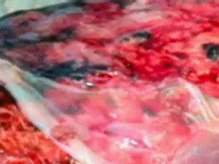 Graphic video highlights rail dangers