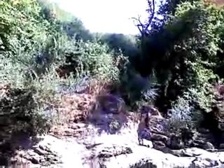 oglanlarımın ilk suya giriş denemeleri