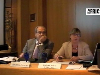 Forum Africa 2011 - press briefing 4di6