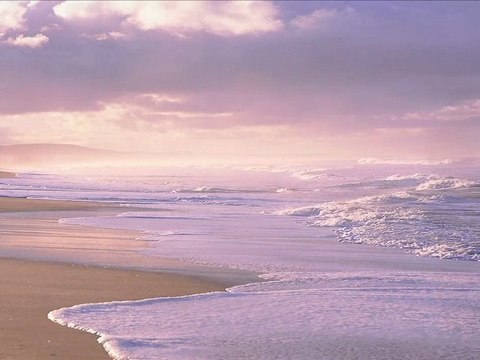 Les feuilles mortes Le foglie morte Florence Astaire