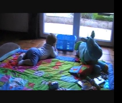 J'y suis presque au 4 pattes