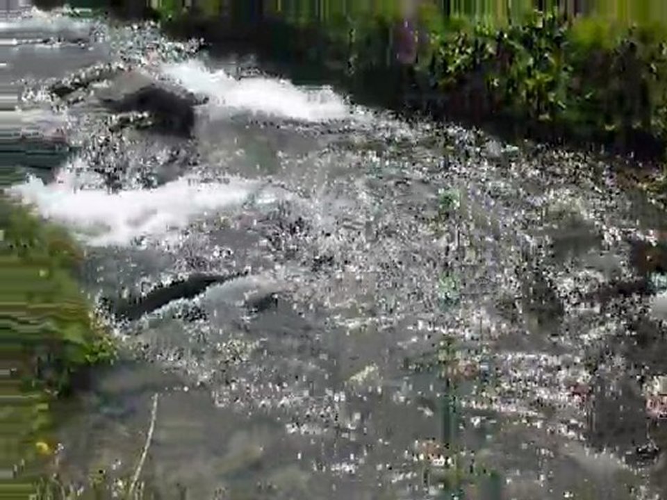 Un petit coin dans les Alpes du Sud