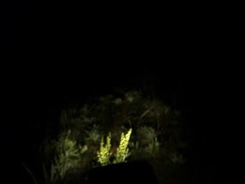 AKSU KÖYÜ YAĞLICA YAYLASI 9 TEMMUZ 2011