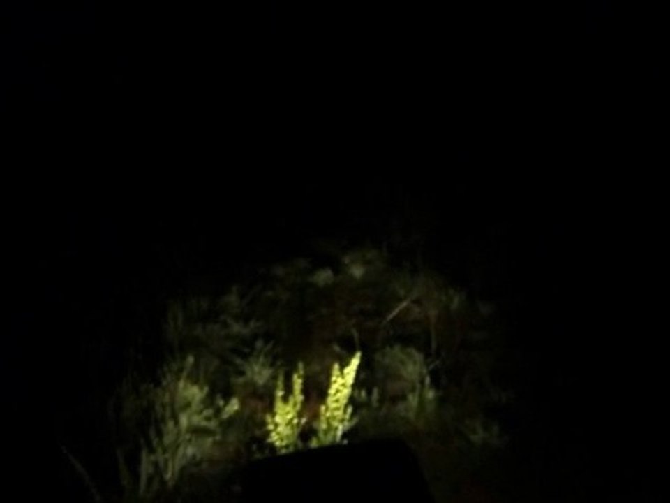 AKSU KÖYÜ YAĞLICA YAYLASI 9 TEMMUZ 2011